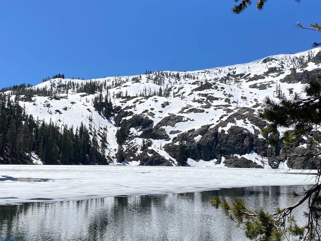 Mt. Shasta (Telos)