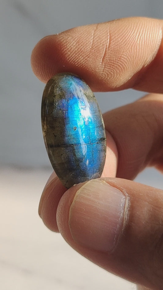 Labrodarite Blue